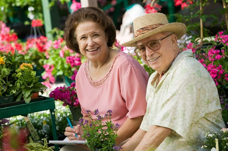 The Best Options For Elderly Care