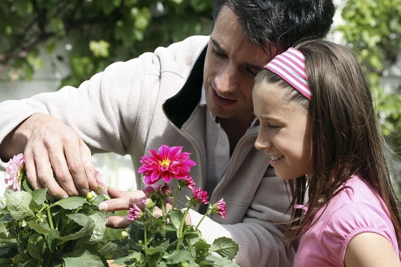 Building a Summer Garden with Kids