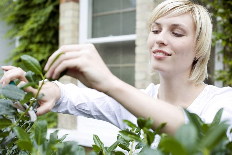 Home Gardening Tips Helps You