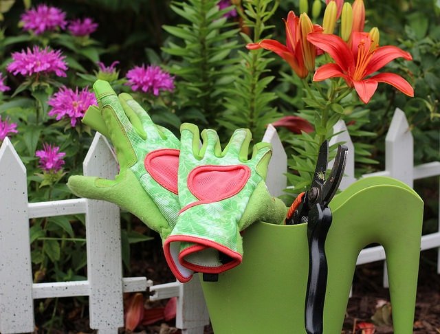 Ideal Garden Tools For The Green Thumb