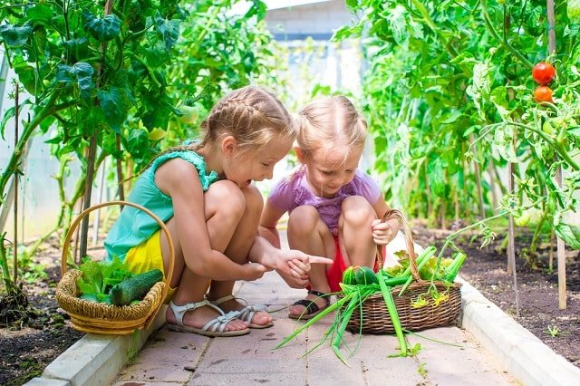 8 Tips To Get Your Kids Enjoy Home Gardening