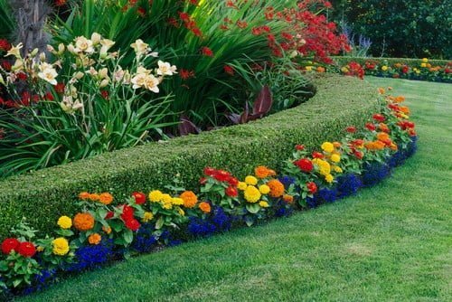 A Wonderful Backyard Landscaping Idea