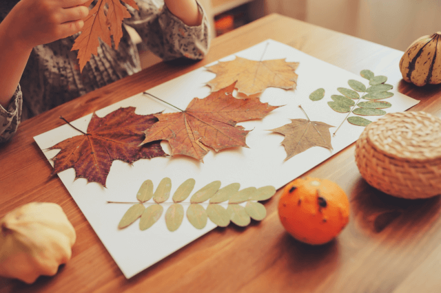 Free Fall Crafts for Kids