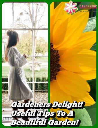 Gardeners Delight! Useful Tips To A Beautiful Garden!