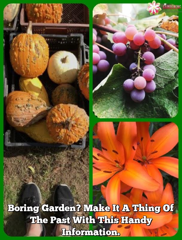 Boring Garden? Make It A Thing Of The Past With This Handy Information.