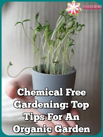 Chemical Free Gardening: Top Tips For An Organic Garden