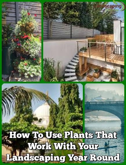 How To Use Plants That Work With Your Landscaping Year Round