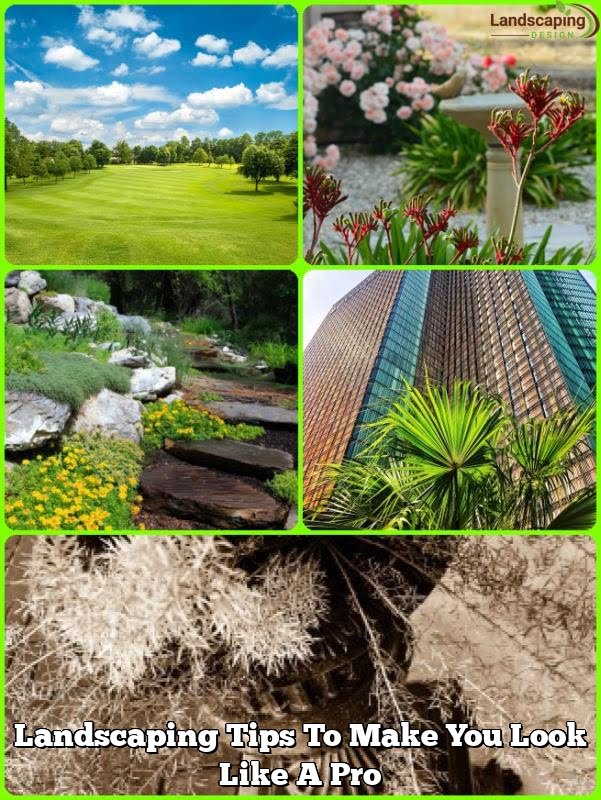 Landscaping Tips To Make You Look Like A Pro