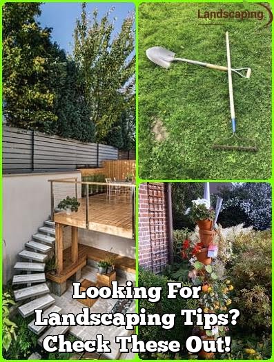 Looking For Landscaping Tips? Check These Out!