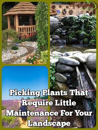 Picking Plants That Require Little Maintenance For Your Landscape
