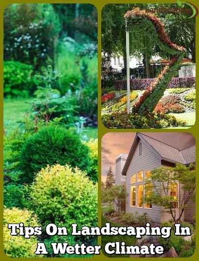 Tips On Landscaping In A Wetter Climate