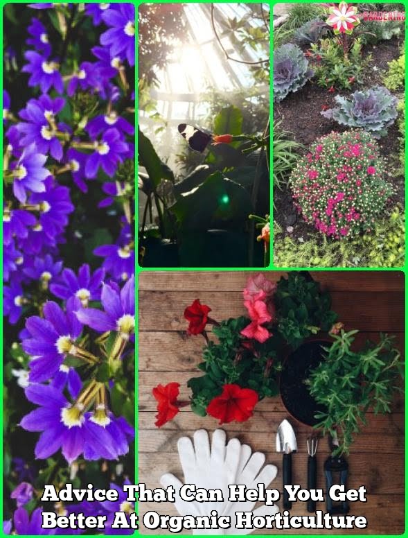 Advice That Can Help You Get Better At Organic Horticulture