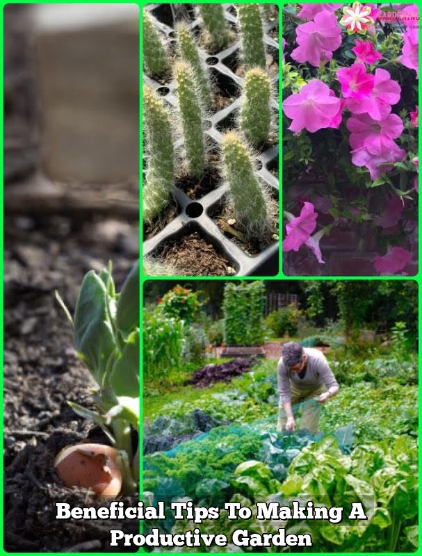 Beneficial Tips To Making A Productive Garden