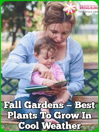 Fall Gardens — Best Plants To Grow In Cool Weather