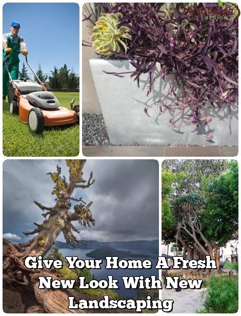Give Your Home A Fresh New Look With New Landscaping