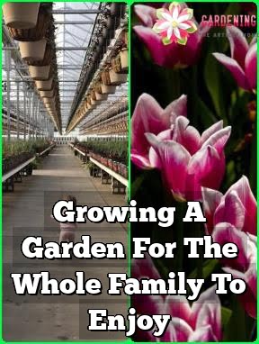 Growing A Garden For The Whole Family To Enjoy