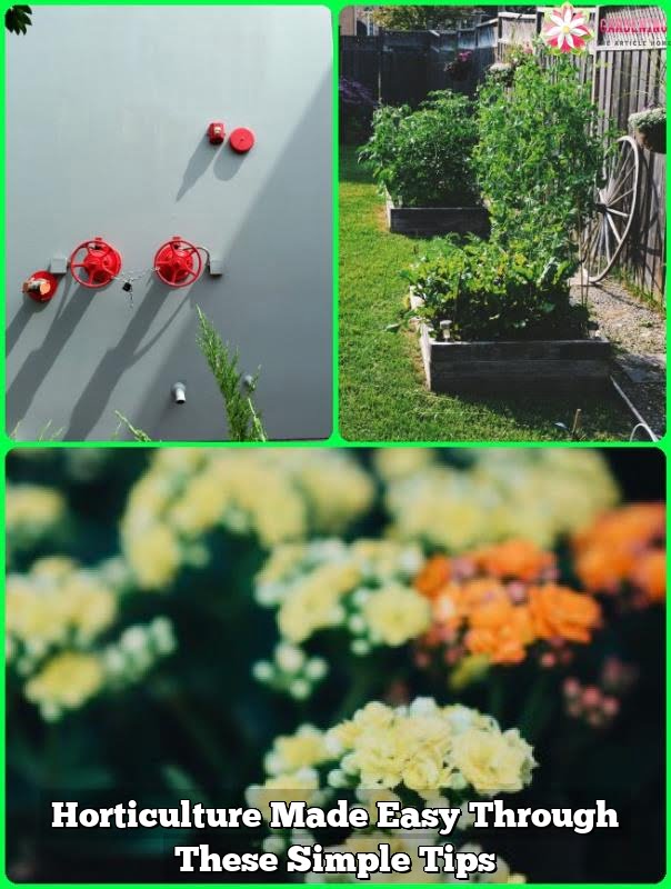 Horticulture Made Easy Through These Simple Tips