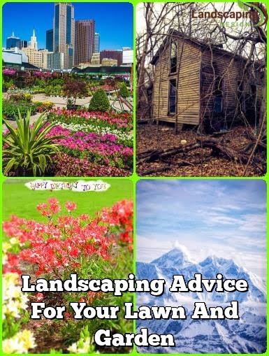 Landscaping Advice For Your Lawn And Garden