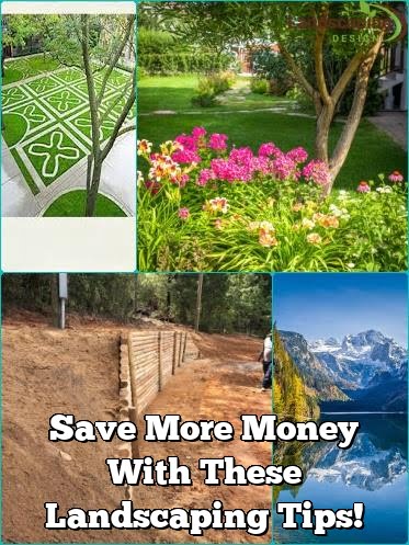 Save More Money With These Landscaping Tips!