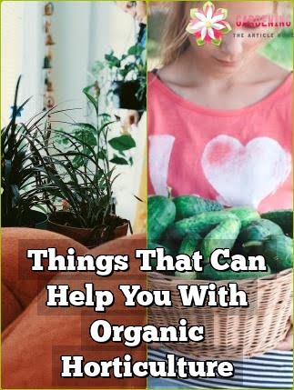 Things That Can Help You With Organic Horticulture