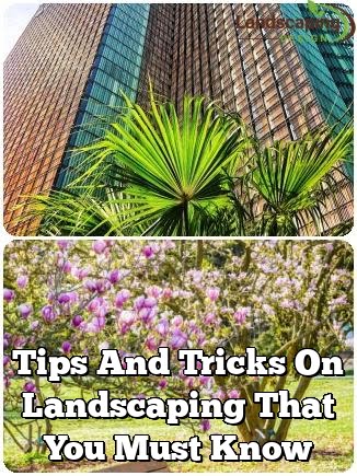 Tips And Tricks On Landscaping That You Must Know
