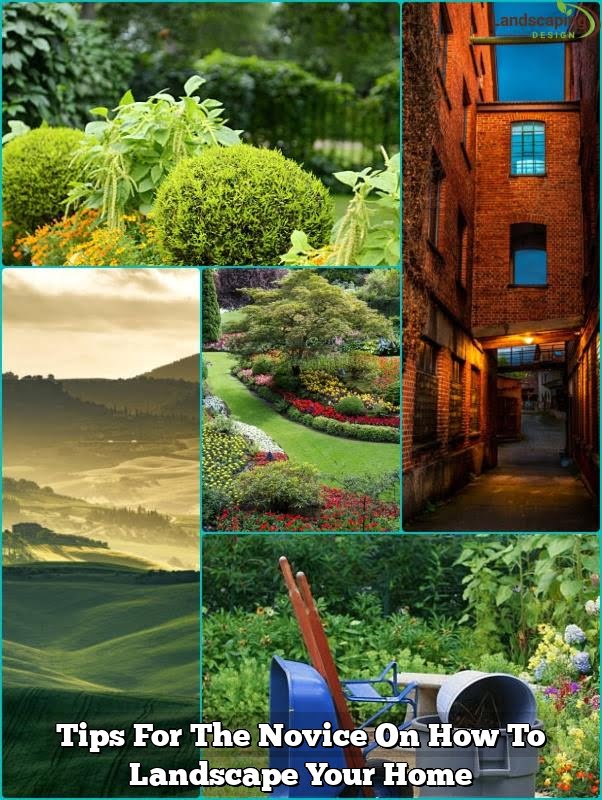 Home 10 Tips For The Novice On How To Landscape Your Home