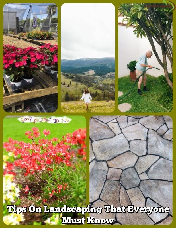 Tips On Landscaping That Everyone Must Know