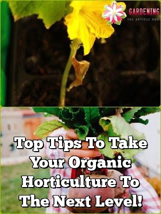 Top Tips To Take Your Organic Horticulture To The Next Level!