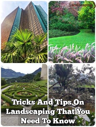 Tricks And Tips On Landscaping That You Need To Know