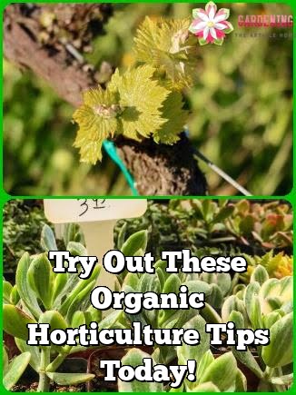 Try Out These Organic Horticulture Tips Today!