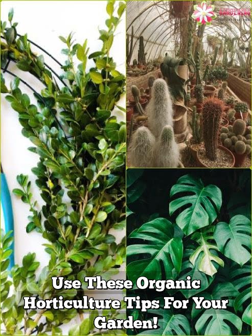Use These Organic Horticulture Tips For Your Garden!