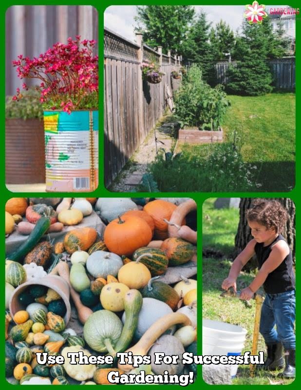 Use These Tips For Successful Gardening!