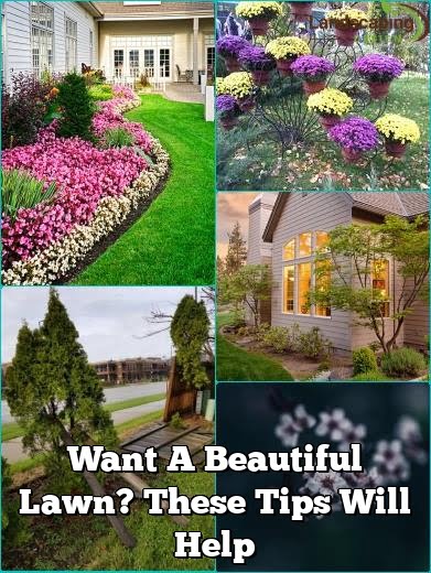Want A Beautiful Lawn? These Tips Will Help