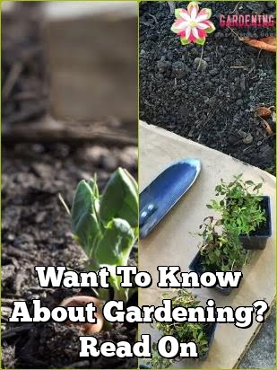 want to know about gardening read on