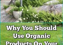 Why You Should Use Organic Products On Your Lawn And In Your Landscaping