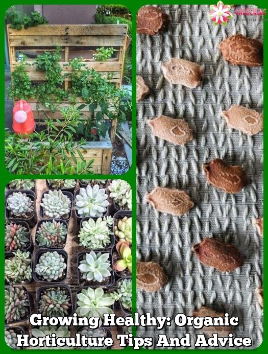 Growing Healthy: Organic Horticulture Tips And Advice