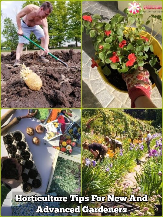 Horticulture Tips For New And Advanced Gardeners