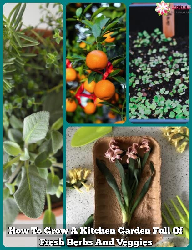 How To Grow A Kitchen Garden Full Of Fresh Herbs And Veggies