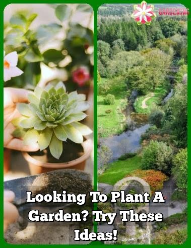 Looking To Plant A Garden? Try These Ideas!