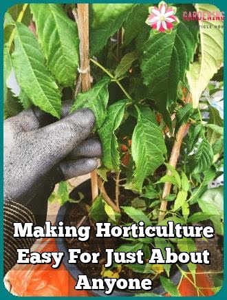 Making Horticulture Easy For Just About Anyone