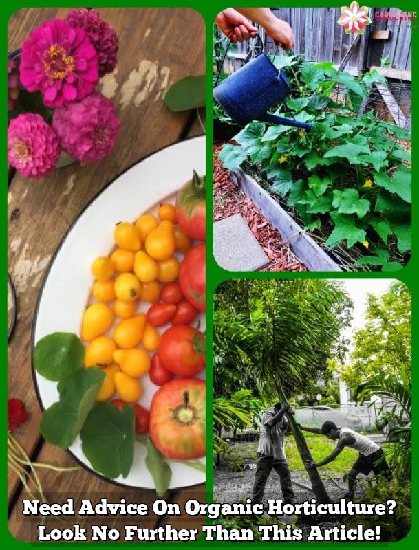 Need Advice On Organic Horticulture? Look No Further Than This Article!