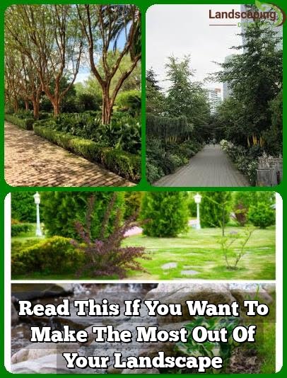 Read This If You Want To Make The Most Out Of Your Landscape