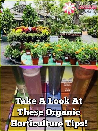 Take A Look At These Organic Horticulture Tips!