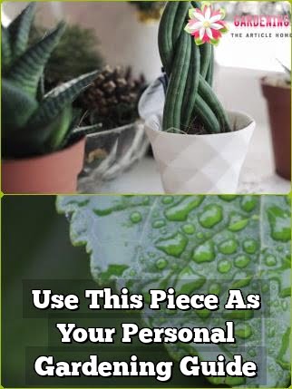 Use This Piece As Your Personal Gardening Guide