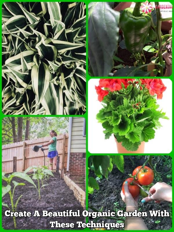 Create A Beautiful Organic Garden With These Techniques