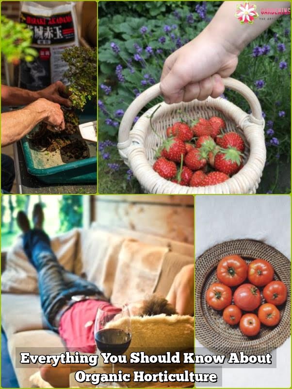 Everything You Should Know About Organic Horticulture