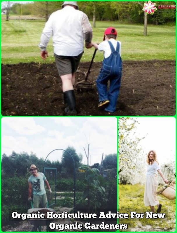 Organic Horticulture Advice For New Organic Gardeners