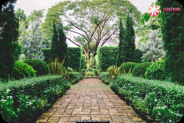 A Few Useful Gardening Tips