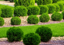 Finding The Right Information On Landscape Design