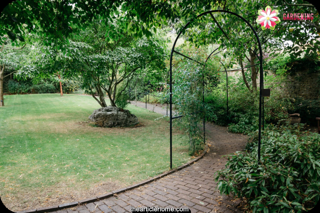 Gardening Tips and Tricks